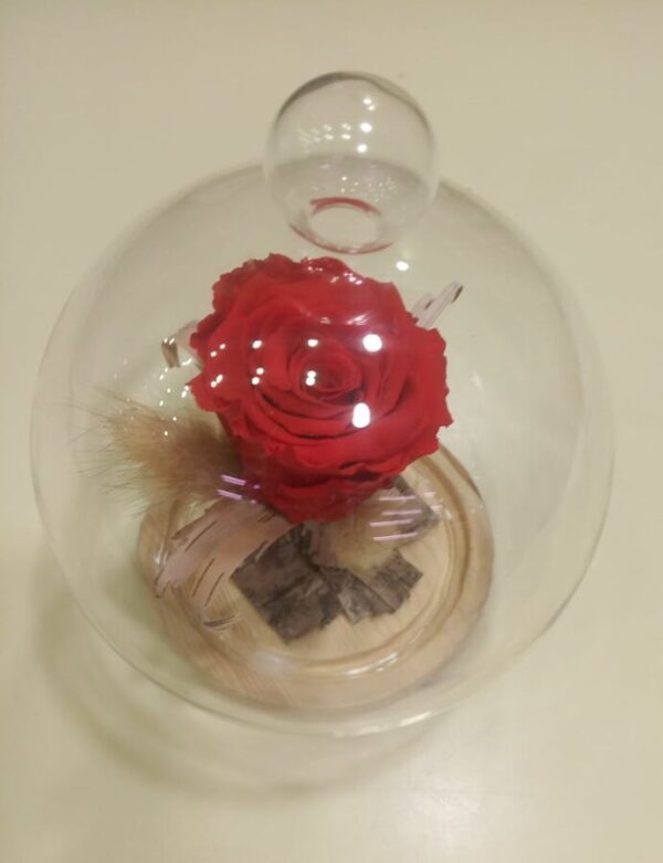 For Ever Rose Σε Γυάλα