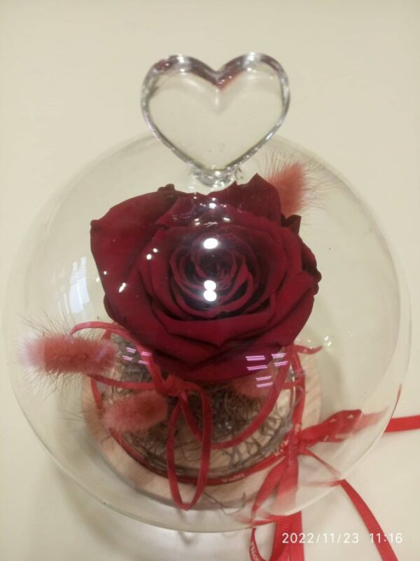 For Ever Rose Σε Γυάλα - Image 3